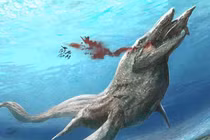 Loài vật được mệnh danh “kẻ săn mồi tối thượng” dưới biển kỷ Phấn Trắng 