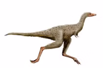 Vẻ ngoài ám ảnh của loài khủng long 'quái thai' chỉ có một ngón tay 