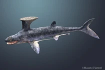 Loài cá mập kỳ lạ có vây lưng y hệt bàn chải 