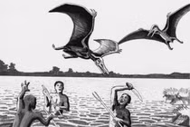 Loài chim ác quỷ sát hại người tàn nhẫn, dân châu Phi kinh hãi 