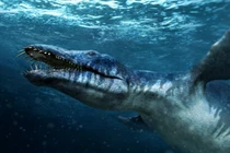 View - Bí ẩn sinh vật 'bất tử nhiệt', sức chịu nhiệt vượt ngưỡng sự sống | Báo Tri thức và Cuộc sống - TIN TỨC PHỔ BIẾN KIẾN THỨC 24H