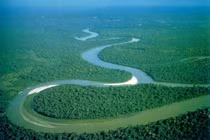 Sự thật gây sốc về dòng sông có lưu vực rộng nhất thế giới 