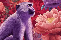 Tết này, 3 con giáp bứt phá ngoạn mục, mở trang vàng cuộc đời