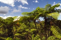 Khám phá “vườn địa đàng trên hạ giới” trứ danh Cuba 