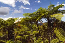 Khám phá “vườn địa đàng trên hạ giới” trứ danh Cuba 