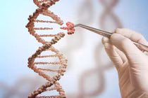 Công nghệ chỉnh sửa gene: Chiếc 'kéo phân tử' thay đổi tương lai y học 