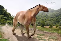 Loài ngựa kỳ dị nhất hành tinh, móng vuốt dài 20 cm, cao gần 2,5 mét 