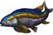 Loài cá có vảy sáng rực, từng thống trị hồ nước thời khủng long 