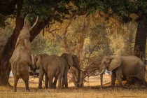 Cảnh tượng kỳ diệu 'vùng đất của hồ nước thần linh' hoang sơ nhất châu Phi 