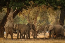 Cảnh tượng kỳ diệu 'vùng đất của hồ nước thần linh' hoang sơ nhất châu Phi 