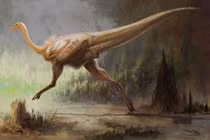 Soi 'vận động viên điền kinh' của thế giới khủng long với tốc độ 'ánh sáng'