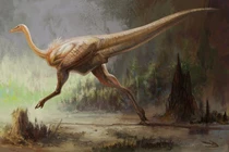 Soi 'vận động viên điền kinh' của thế giới khủng long với tốc độ 'ánh sáng'