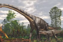 Sốc với loài vật lớn nhất hành tinh, nặng bằng 18 con voi 