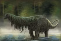  Sinh vật giống khủng long cổ dài vẫn tồn tại trong đầm lầy châu Phi? 