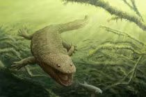 Loài lưỡng cư to bằng cá sấu gieo rắc kinh hoàng dưới đáy sông hồ 