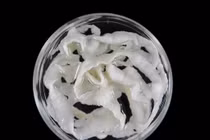 Kinh hoàng sinh vật dài 7 mét sống trong cơ thể nhiều người 