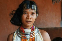 Kỹ nghệ độc đáo của tộc người là hậu duệ của vương quốc Gond hùng mạnh 