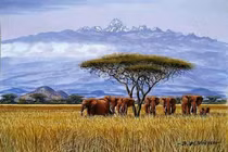 Cảnh quan hùng vĩ choáng ngợp ở nơi có ngọn núi cao thứ hai châu Phi 