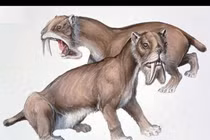 Lộ diện quái thú có túi hung tợn nhất thời tiền sử