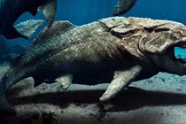 Loài cá bọc thép đáng sợ nhất đại dương kỷ Devon