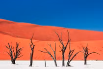 Những điều khó tin về sa mạc cổ xưa nhất hành tinh 