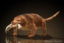 Tiết lộ sốc về loài thú xơi tái khủng long 125 triệu năm trước 