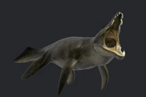 Loài bò sát biển khổng lồ răng dài 30 cm, nuốt cá mập sống