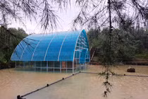 Nhói lòng cảnh tháp Chăm có 1-0-2 của Cố đô Huế chìm trong nước lũ