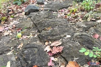 Bãi đá khắc họa tiết lạ ở Yok Đôn, dấu tích cư dân cổ Tây Nguyên?