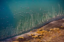 Chiêm ngưỡng hồ kiềm lớn nhất thế giới ở nơi 'cái nôi của loài người'