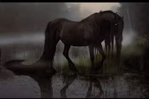 Loài ngựa khủng khiếp dìm chết vô số người vô tội ở Scotland 