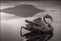  Kỳ dị “hồ máu” biến động vật thành tượng đá ở châu Phi