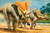 Sinh vật sở hữu chiếc khiên chắn độc nhất vô nhị thế giới khủng long 