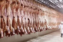 Các nước kiểm định thịt động vật nghiêm ngặt thế nào?