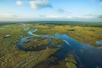 Tận mục dòng sông cỏ khổng lồ, độc nhất thế giới ở Mỹ 