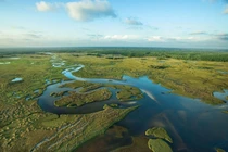 Tận mục dòng sông cỏ khổng lồ, độc nhất thế giới ở Mỹ 