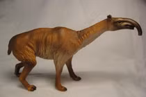 Loài vật kỳ lạ nhất hành tinh, cổ dài như hươu, chân ba ngón, có vòi 