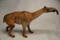 Loài vật kỳ lạ nhất hành tinh, cổ dài như hươu, chân ba ngón, có vòi 