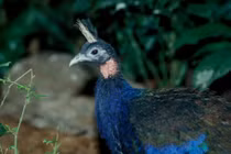 Những điều có 1-0-2 ở vườn quốc gia lớn nhất châu Phi 