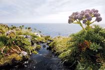 Vẻ đẹp nguyên thủy của quần đảo hoang sơ nhất thế giới 