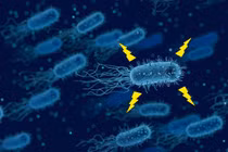 Tiềm năng ứng dụng kỳ diệu của vi khuẩn sản xuất điện 
