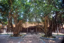 Kho tàng vô giá của ngôi chùa cổ có kiến trúc nguyên bản nhất Việt Nam 