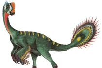 Cấu trúc đuôi dị biệt của sinh vật được phát hiện ở Mông Cổ năm 2000 