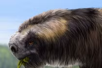 Choáng với loài vật nặng 1 tấn, móng vuốt dài 20 cm 