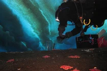 View - Phát hiện bất ngờ về lõi băng 6 triệu năm tuổi tại Nam Cực | Báo Tri thức và Cuộc sống - TIN TỨC PHỔ BIẾN KIẾN THỨC 24H