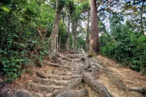 Vị vua duy nhất sử Việt thoái vị giữa đỉnh cao vinh quang