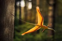 Sinh vật biết bay kỳ dị nhất hành tinh, có cánh mọc ra từ chân sau