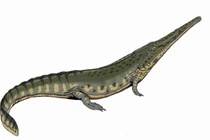 Lưỡng cư cổ đại như cá sấu từng thống trị đầm lầy xưa