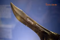 Vũ khí Đông Sơn phản ánh điều gì về năng lực chiến đấu của quân đội Vua Hùng?