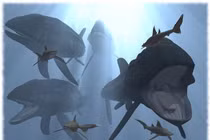 Choáng váng loài cá xương dài 16 mét, nặng hơn 40 tấn 